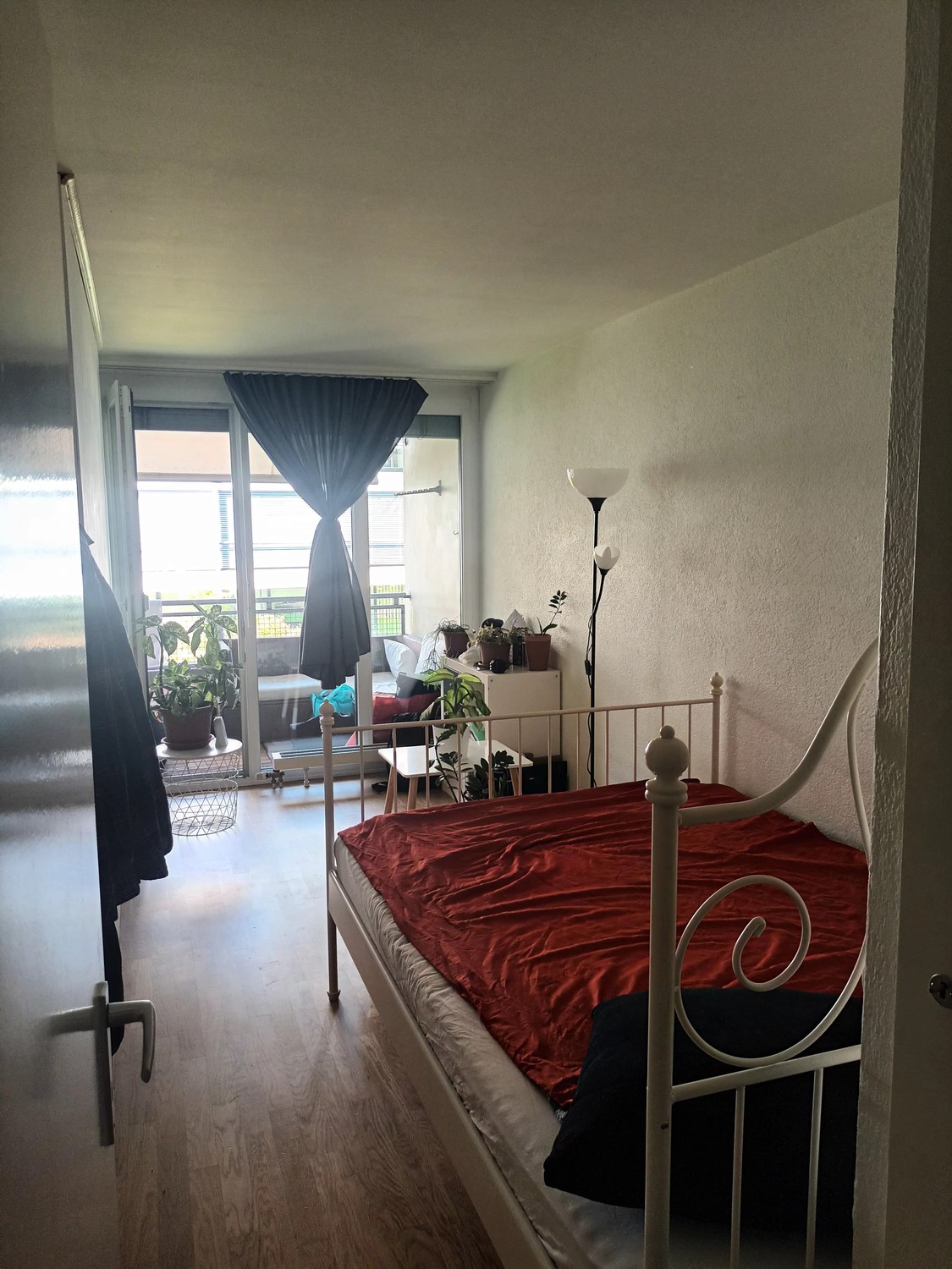 Room in a shared flat