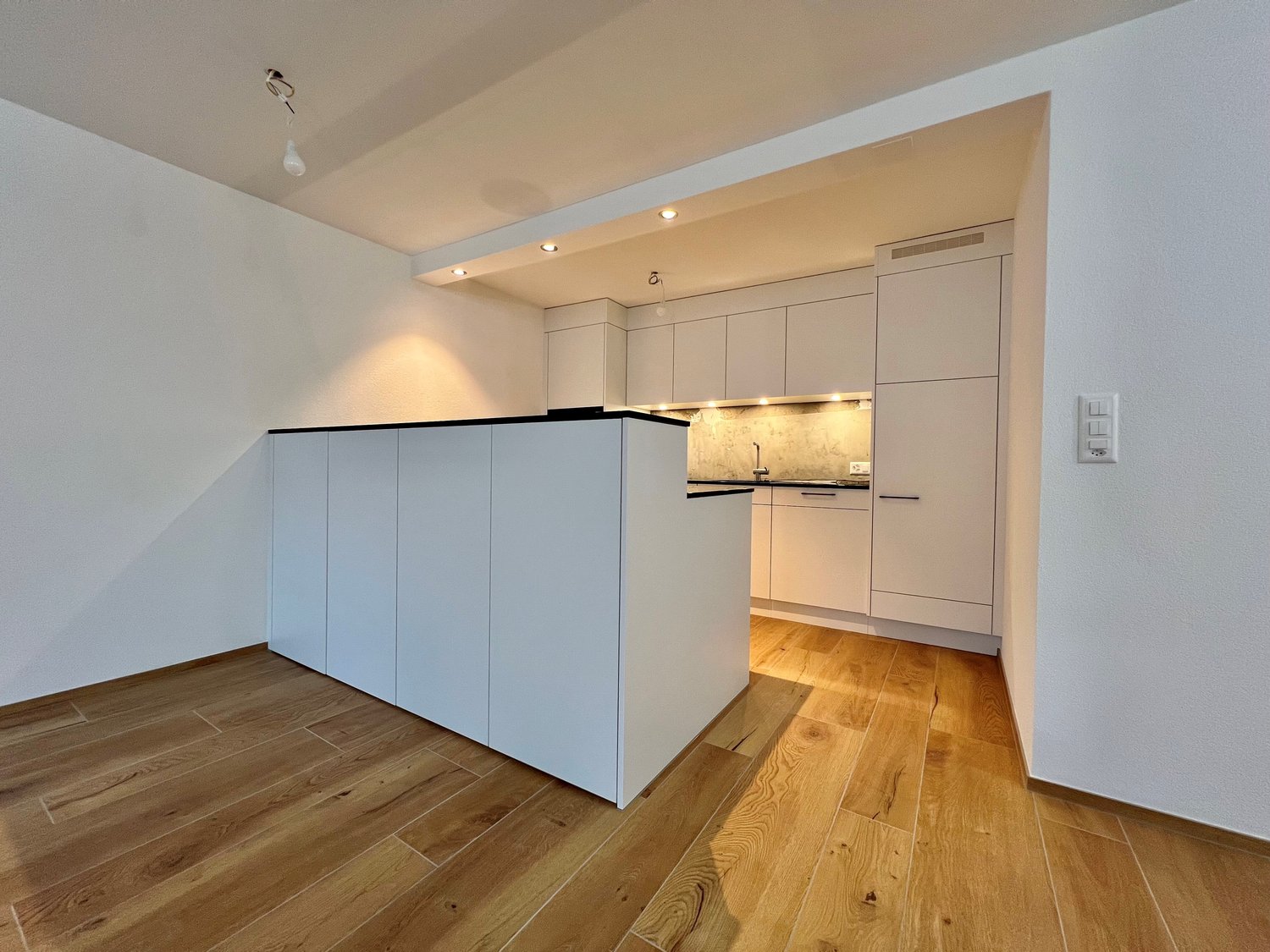 Appartement de 3 ½ pièces