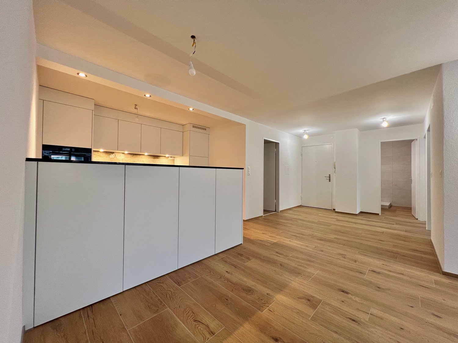 Appartement de 3 ½ pièces