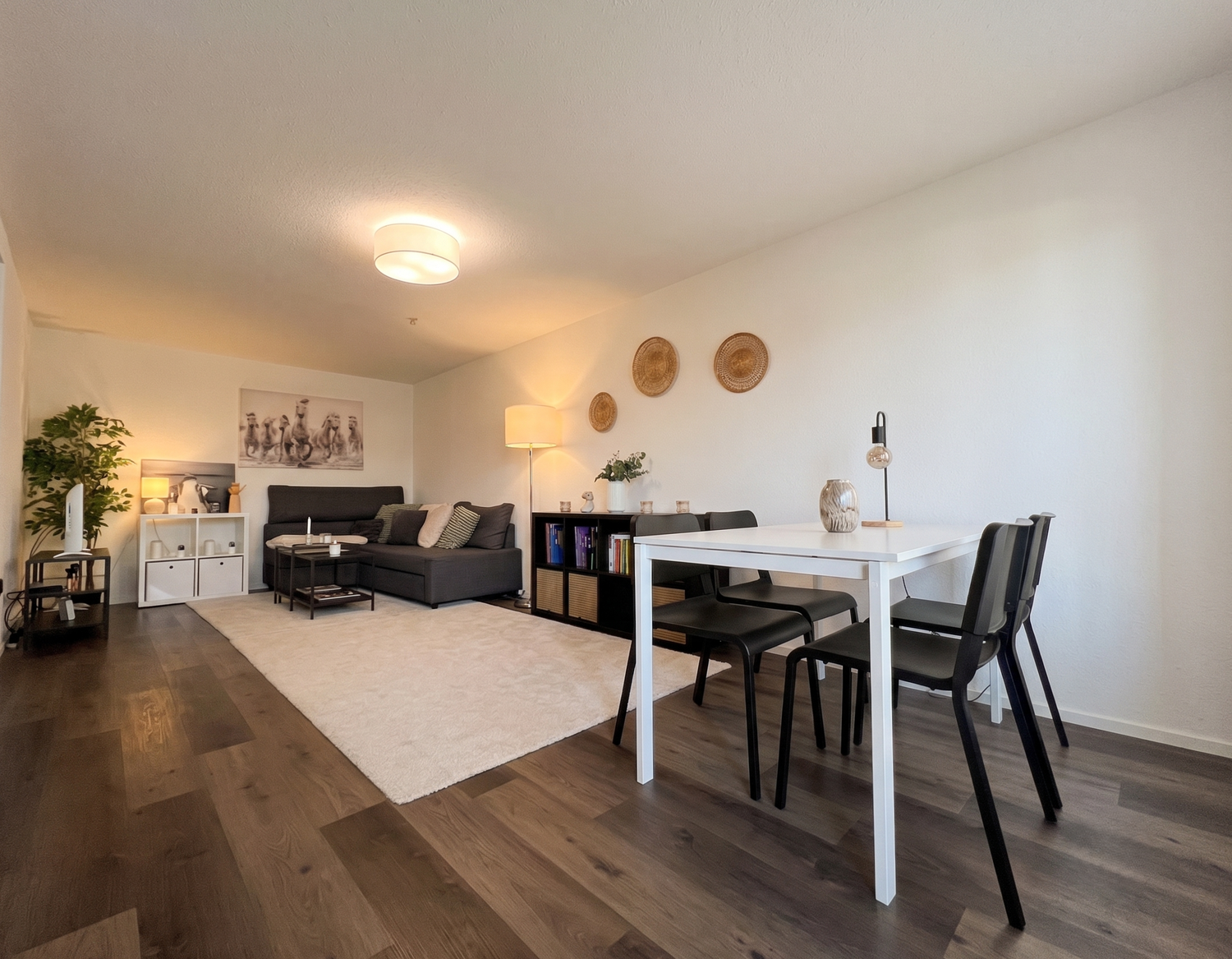 Appartement de 2 ½ pièces