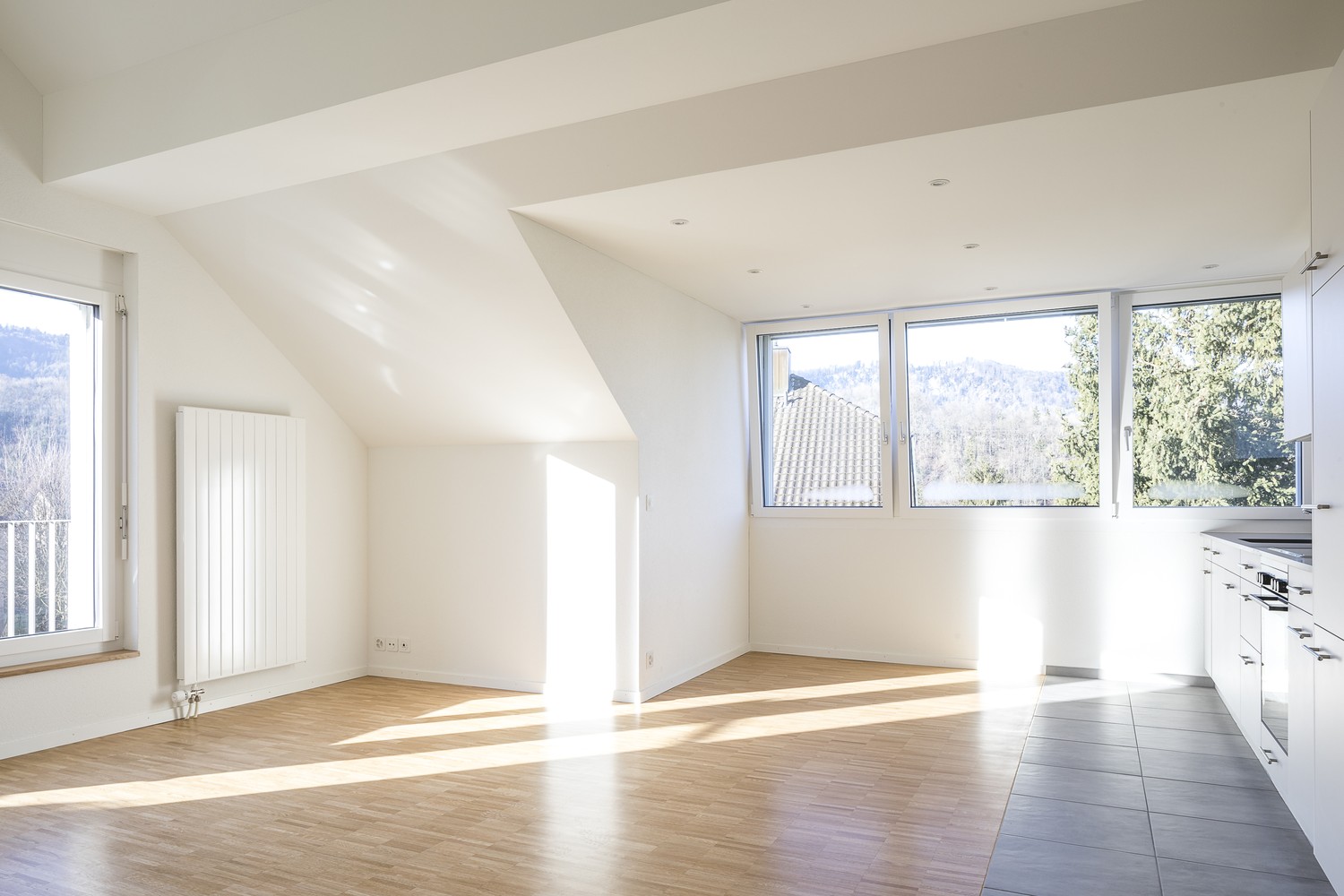 2 ½ rooms apartment