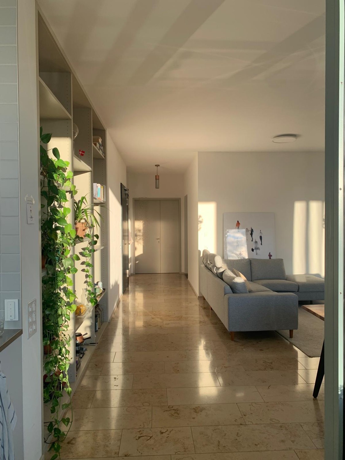 Room in a shared flat
