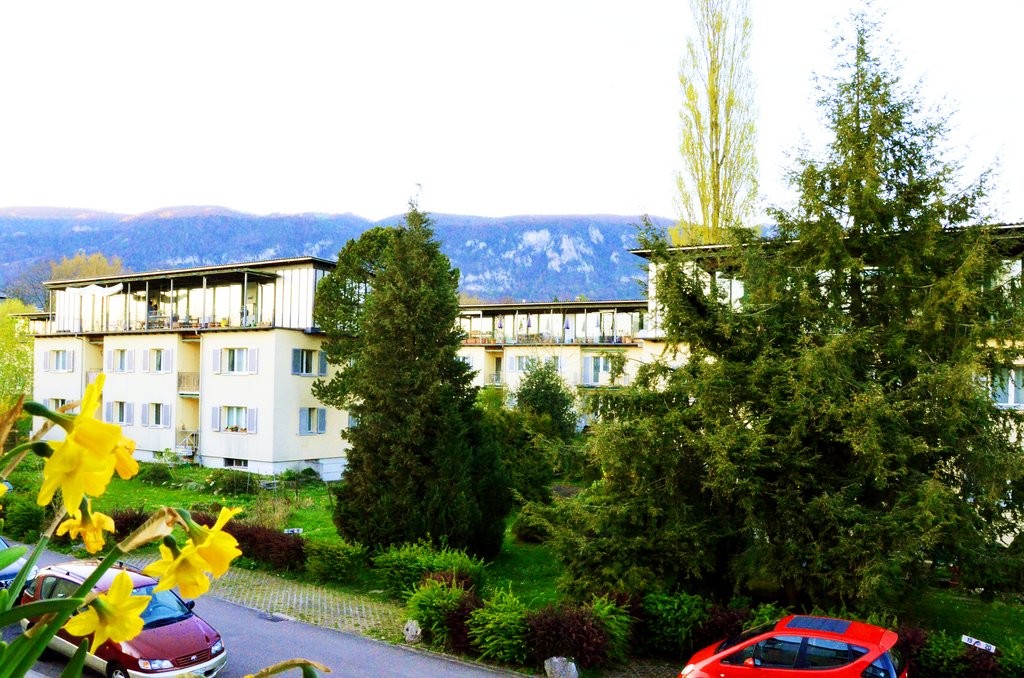 Appartamento di 3 ½ locali