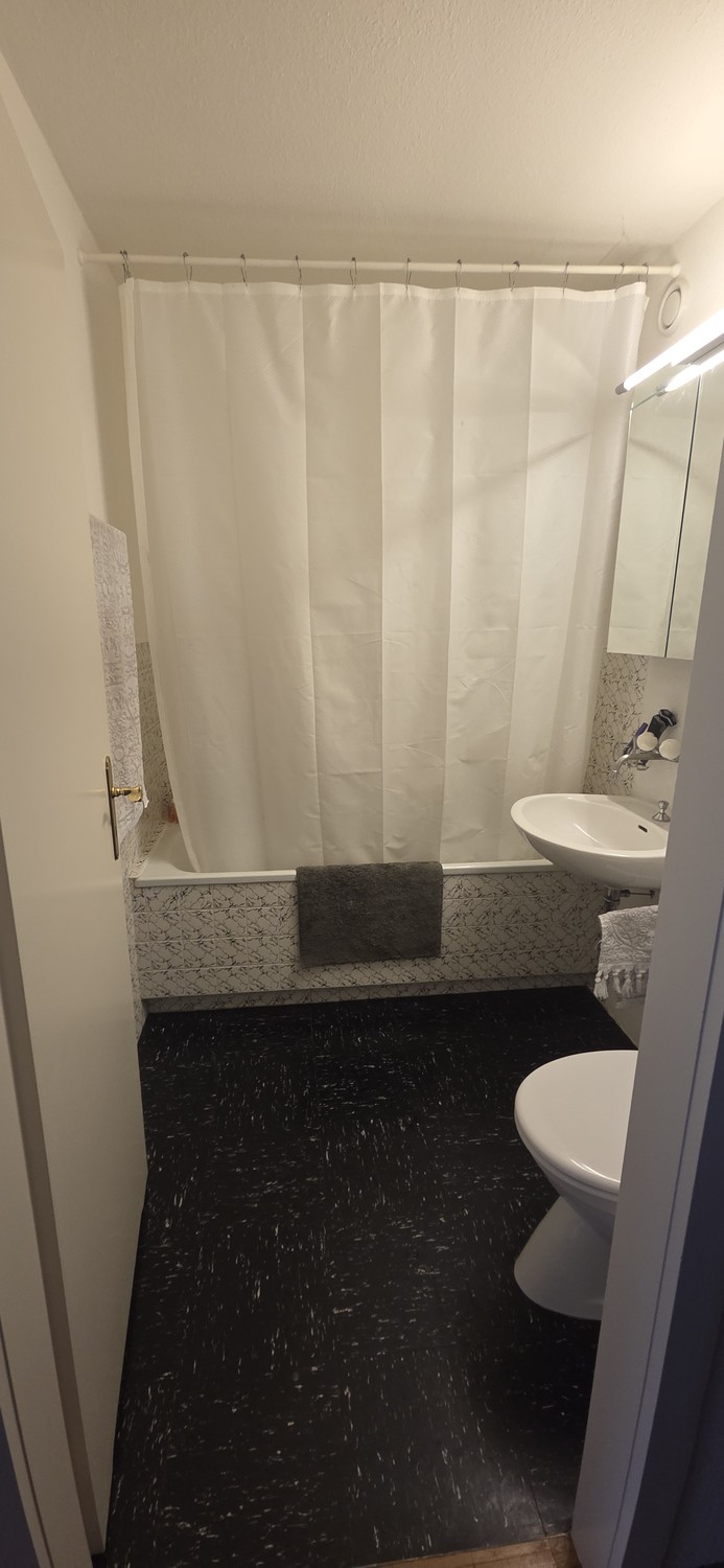 Appartamento di 2 ½ locali