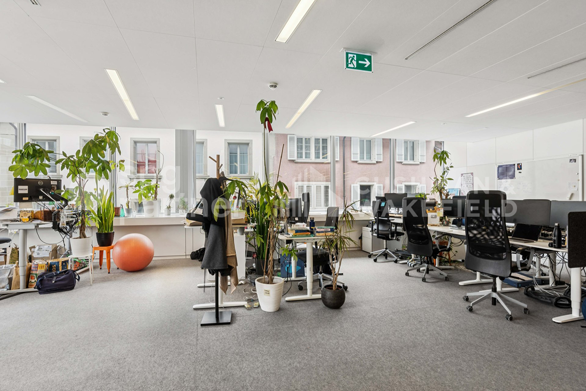 650m² office