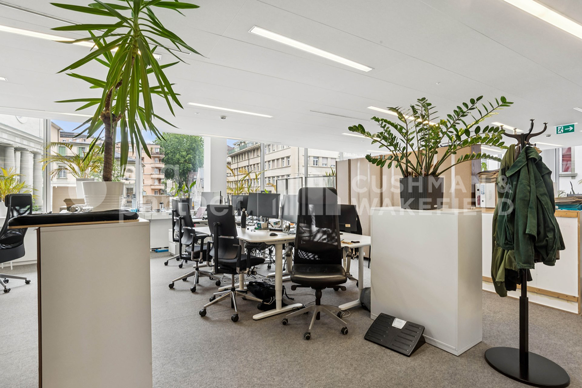 650m² office
