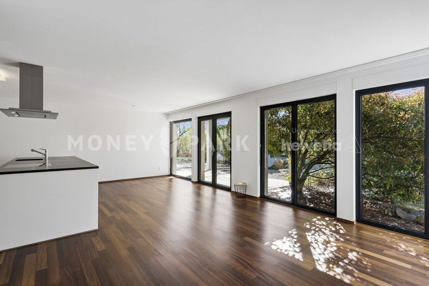 9 ½ rooms multi family house