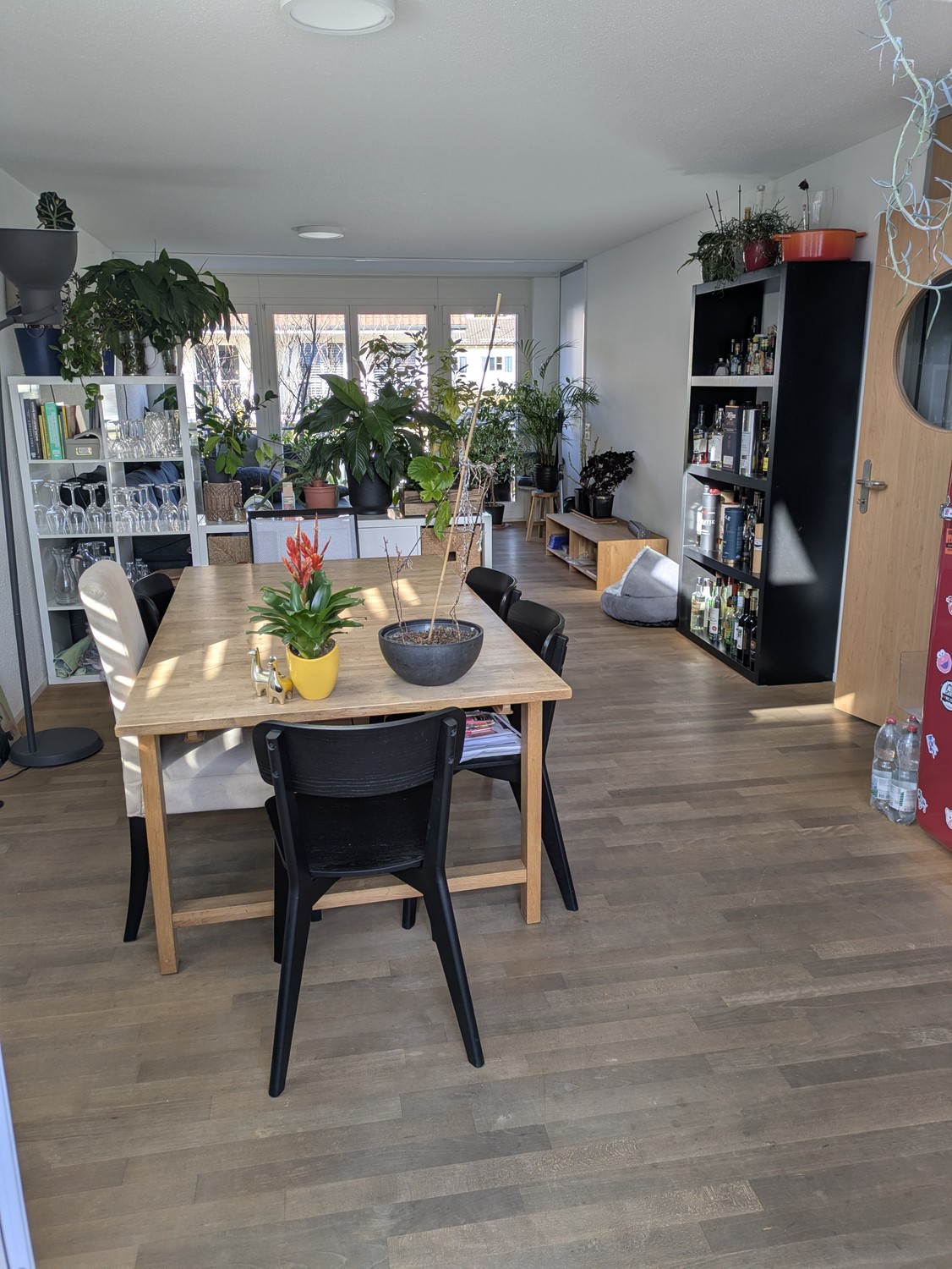 Room in a shared flat