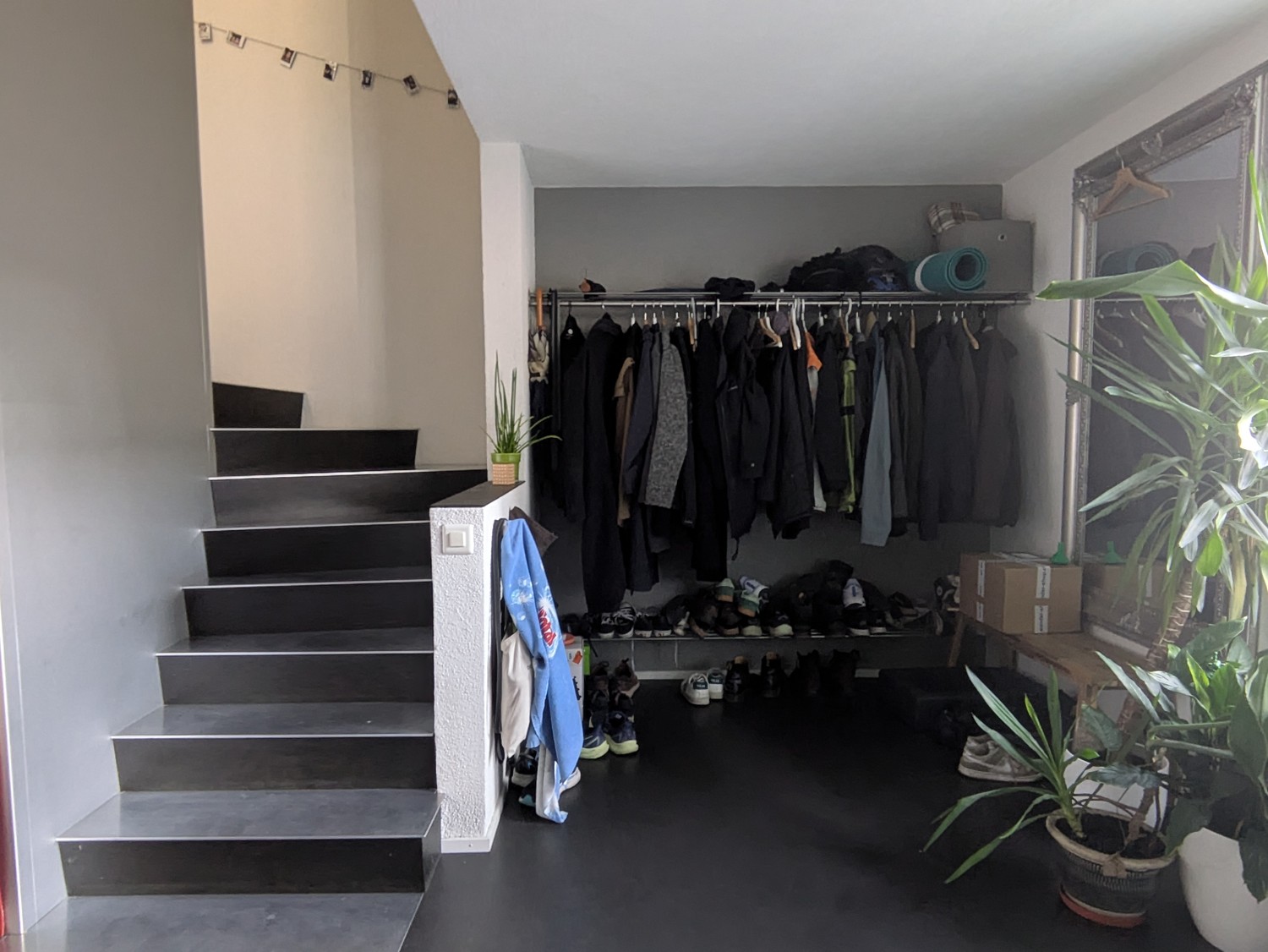 Room in a shared flat