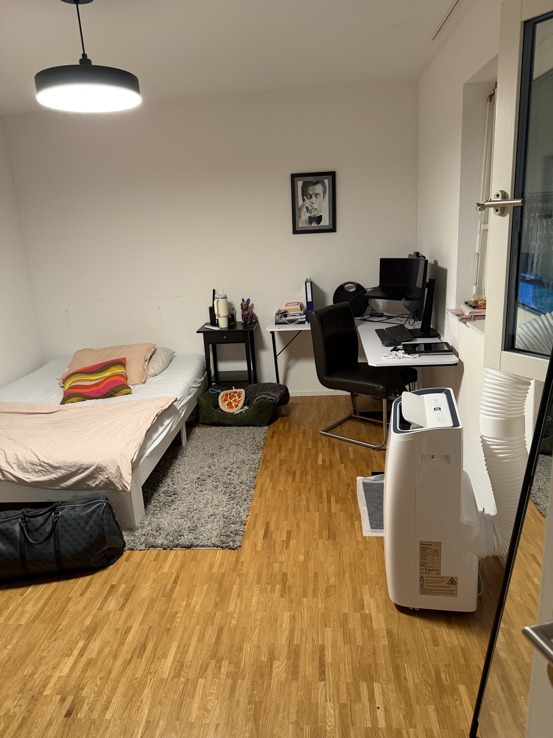 Appartement de 3 ½ pièces