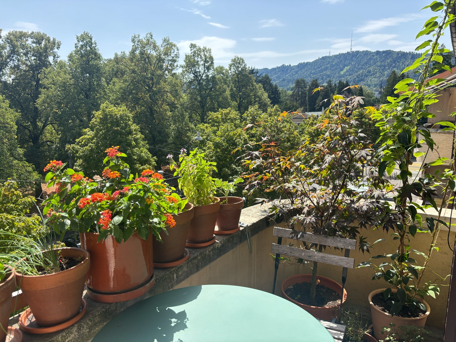 Appartamento di 2 ½ locali