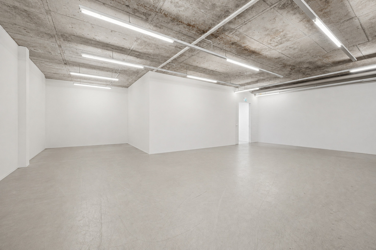 253m² commercial