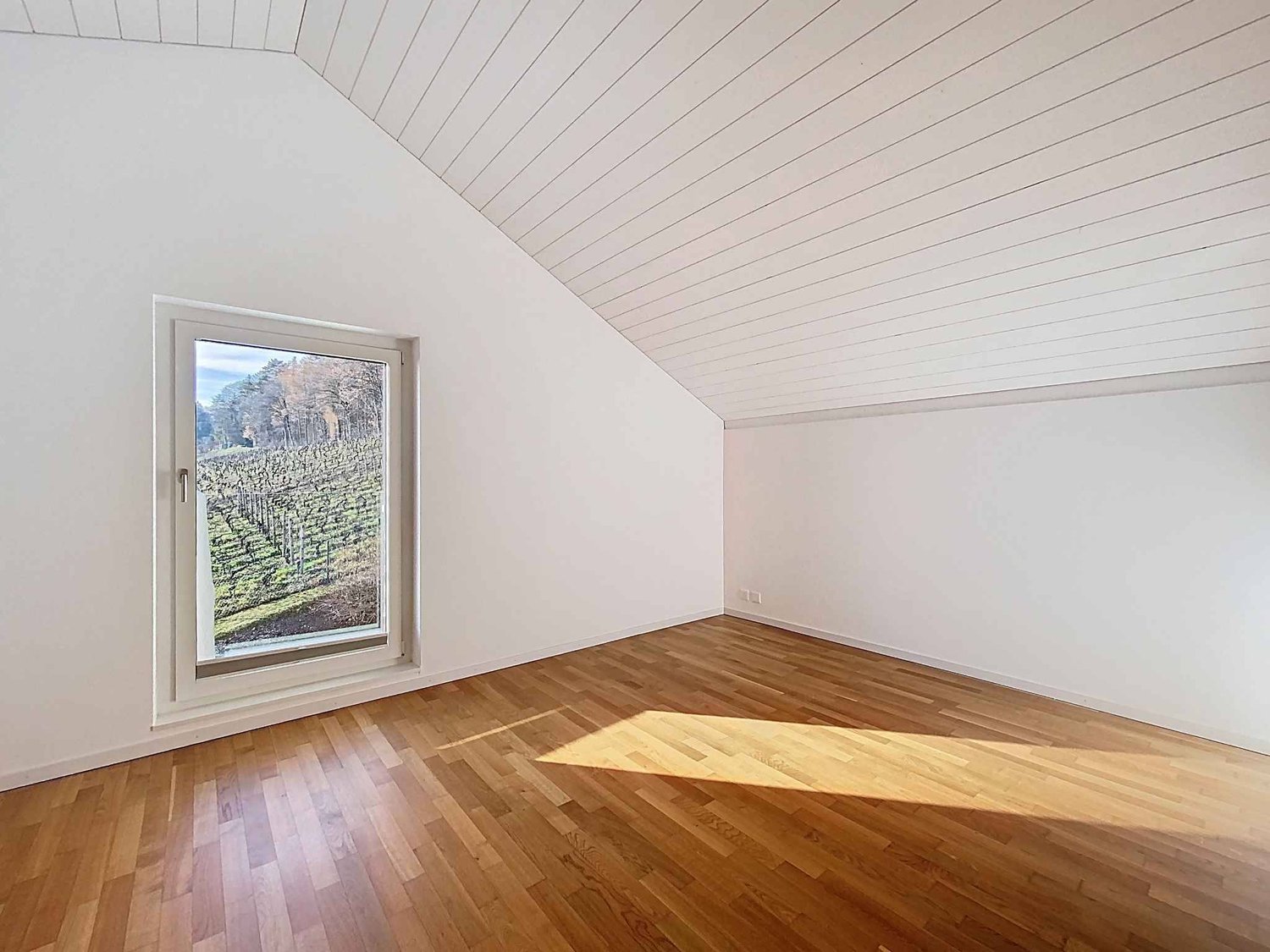 7 ½ rooms villa