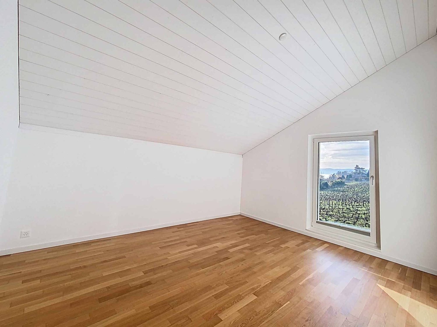 7 ½ rooms villa
