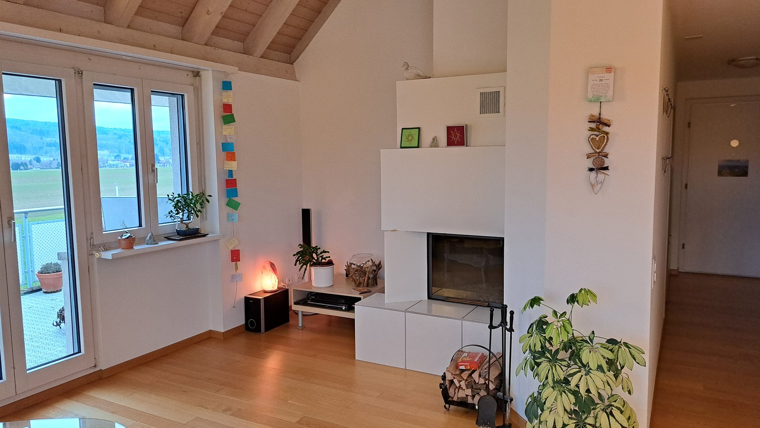 Room in a shared flat