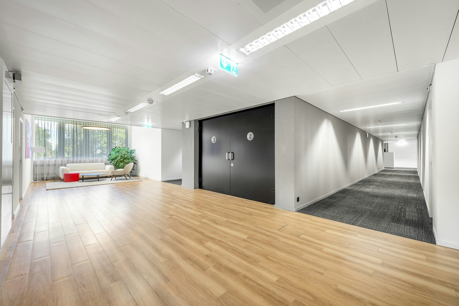 340m² office