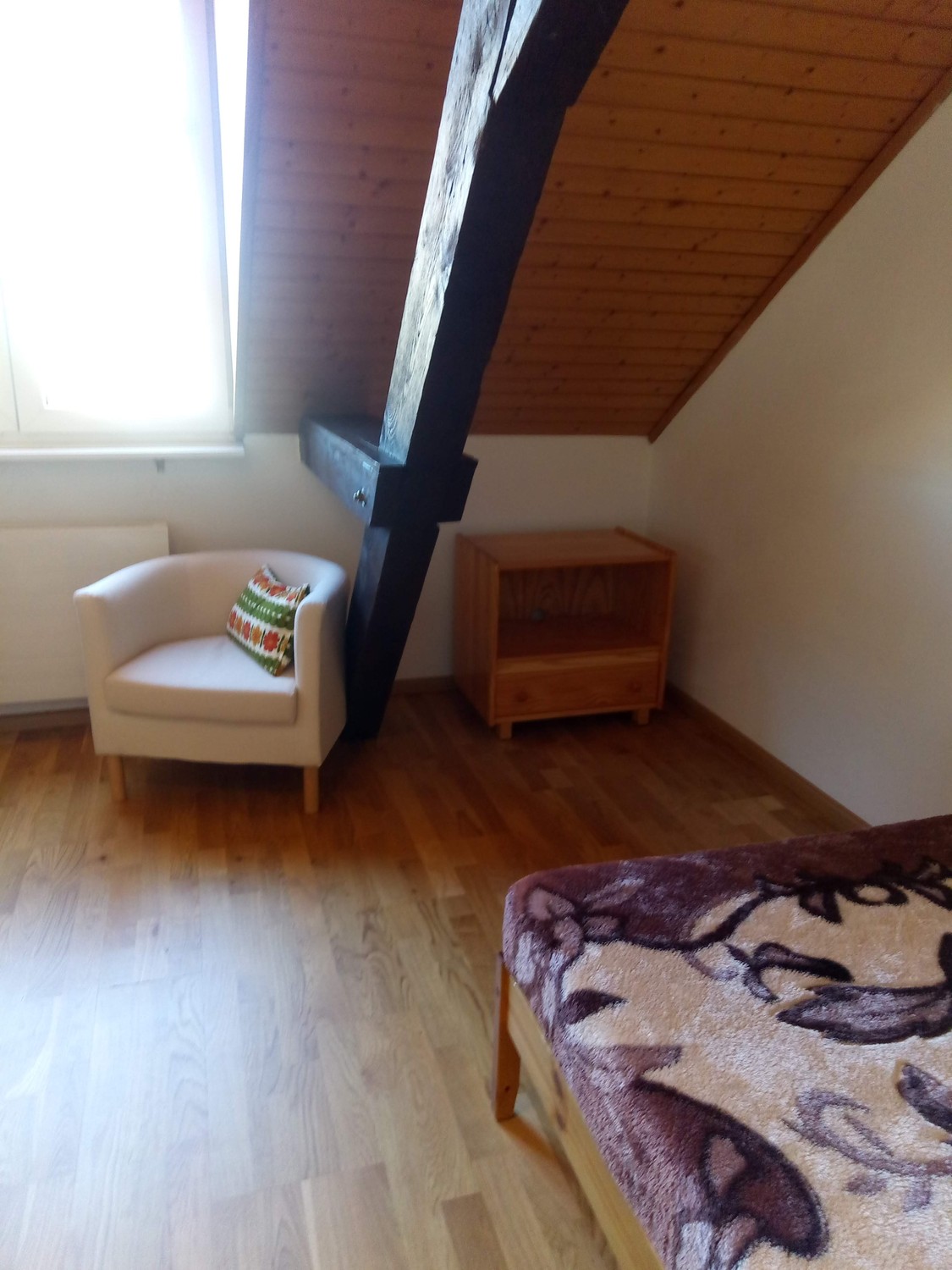 Room in a shared flat