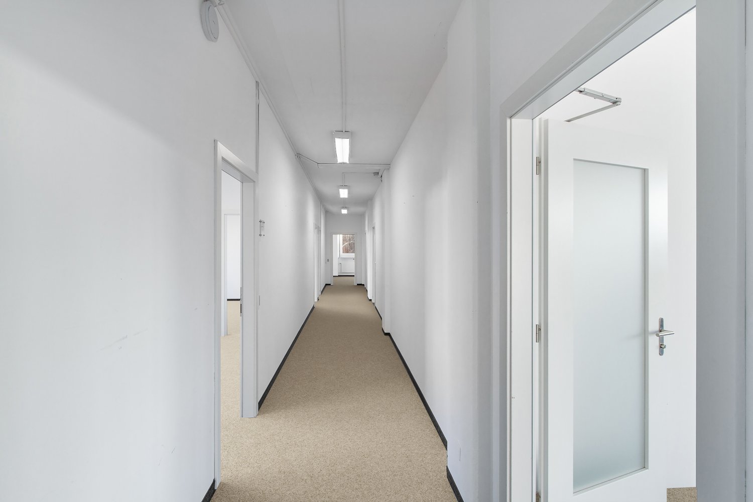 462m² bureau