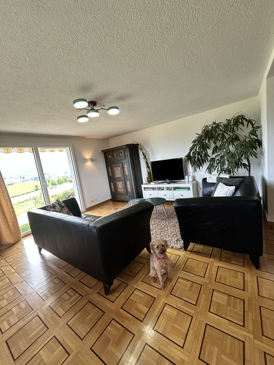 2 ½ pièces appartement