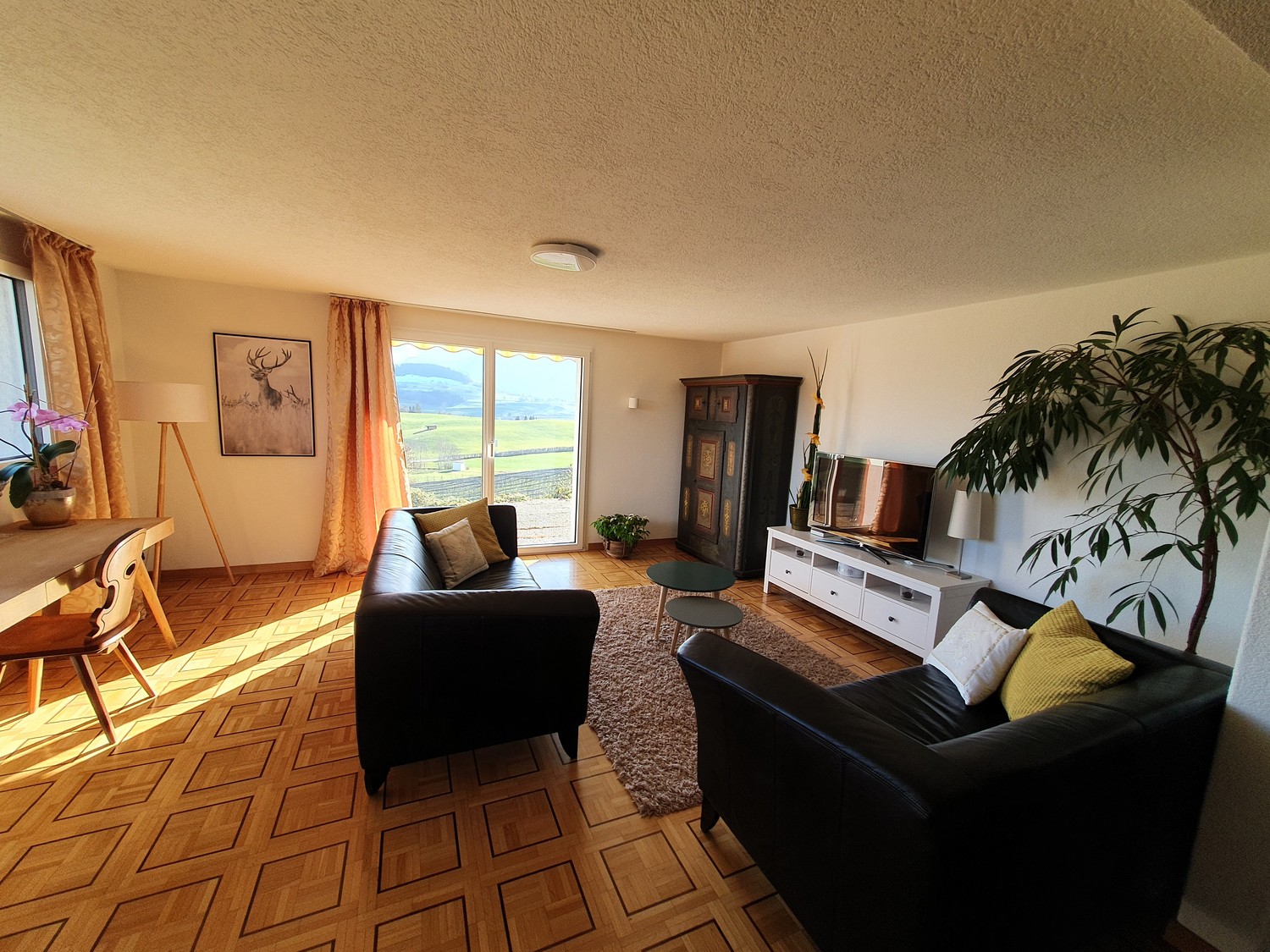 2 ½ pièces appartement