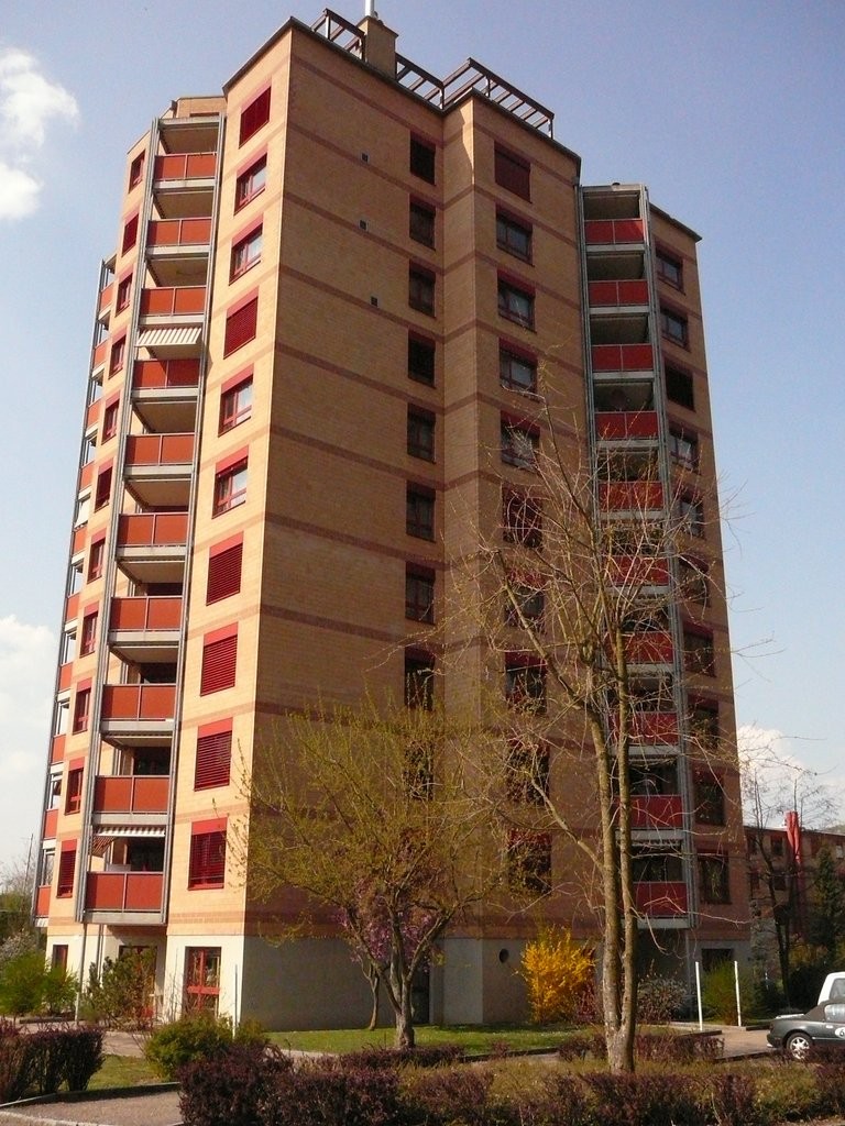 53m² commerciale