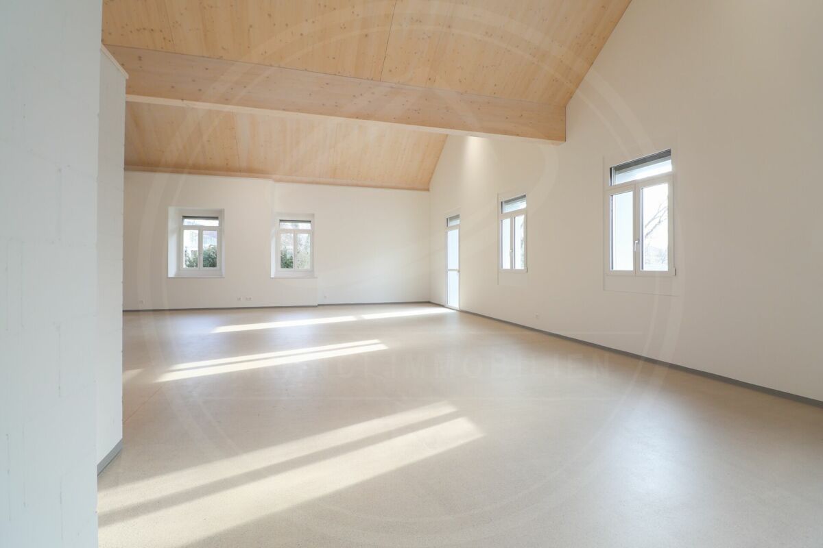 229m² office