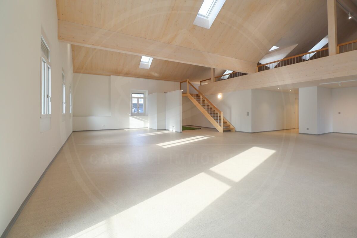 229m² office