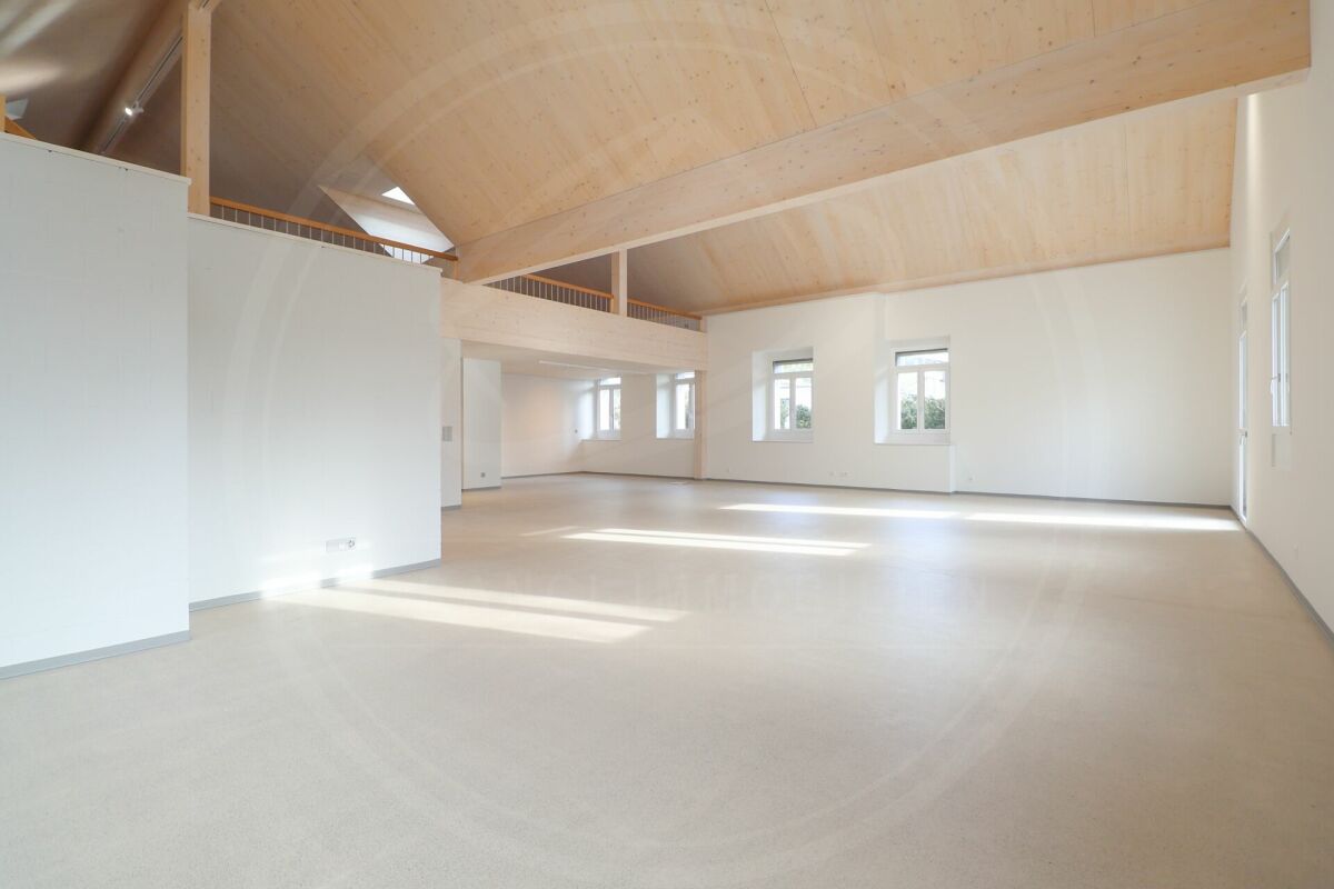 229m² office