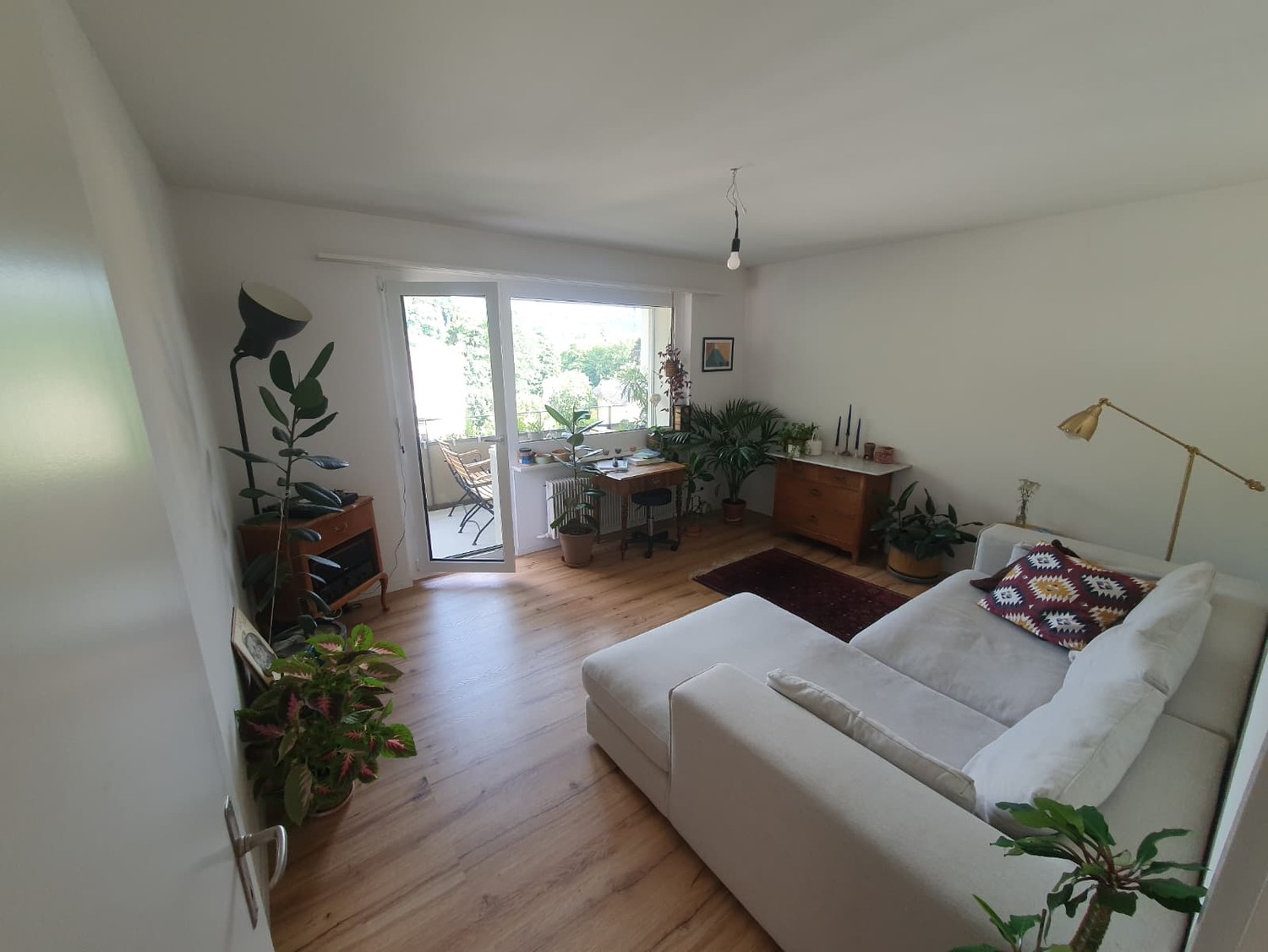 Room in a shared flat