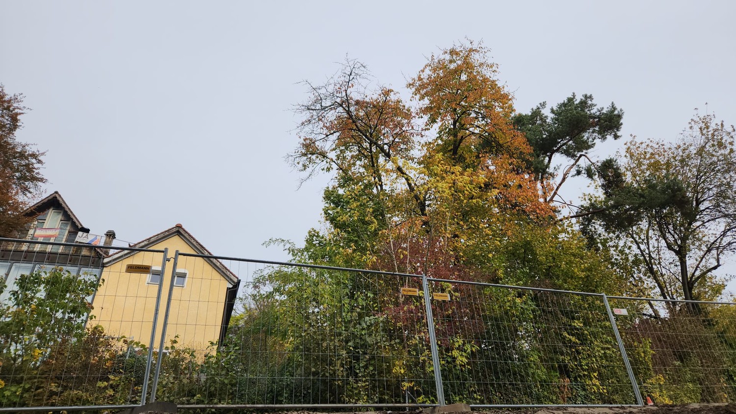 Appartement de 1 ½ pièces