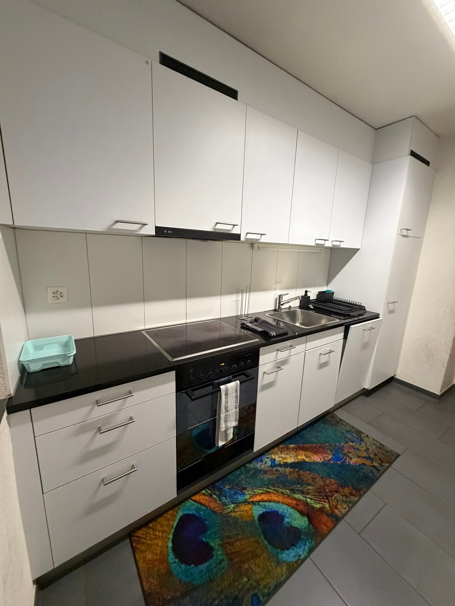 Appartement de 2 ½ pièces