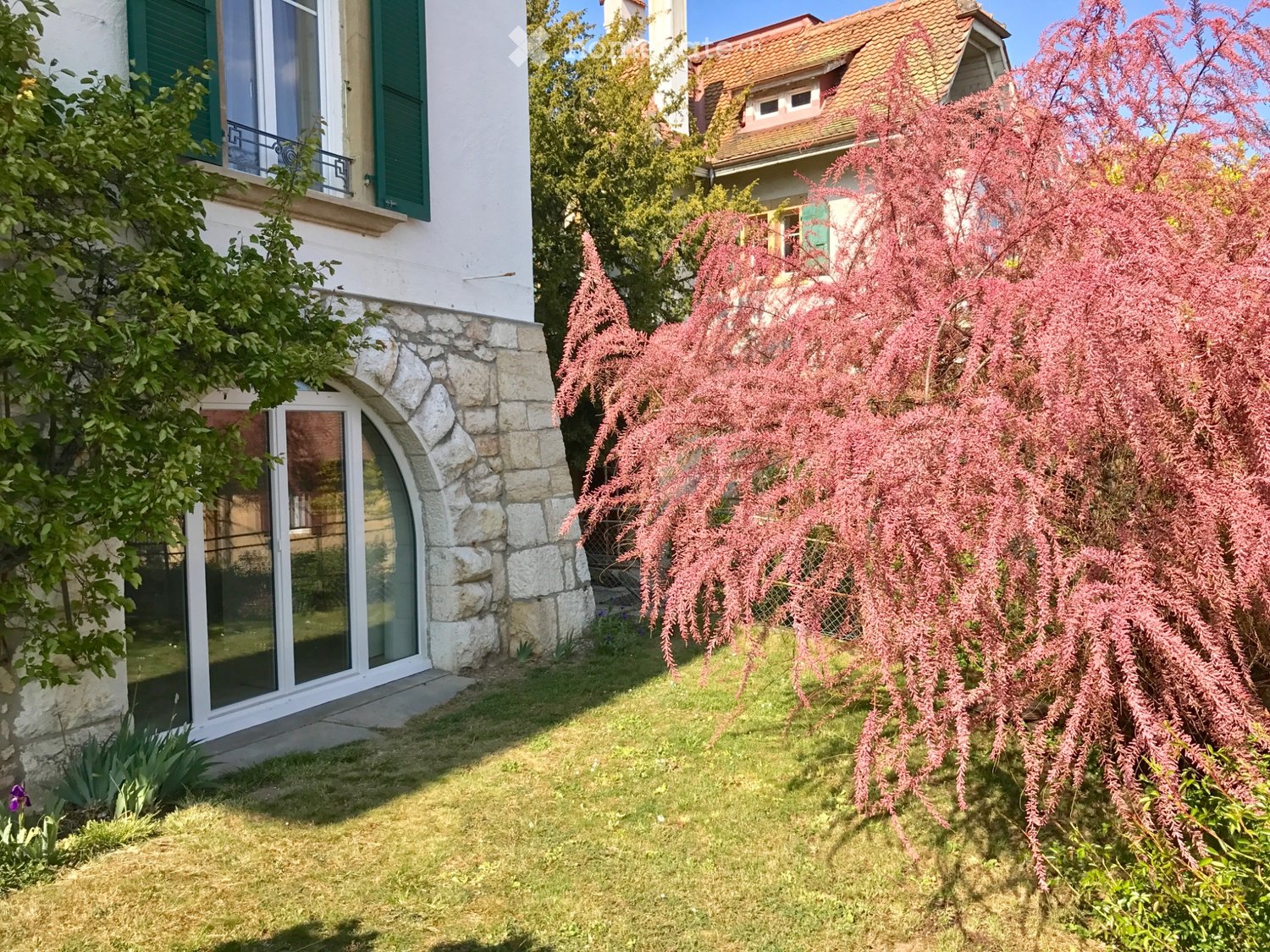 1-Zimmer-Wohnung