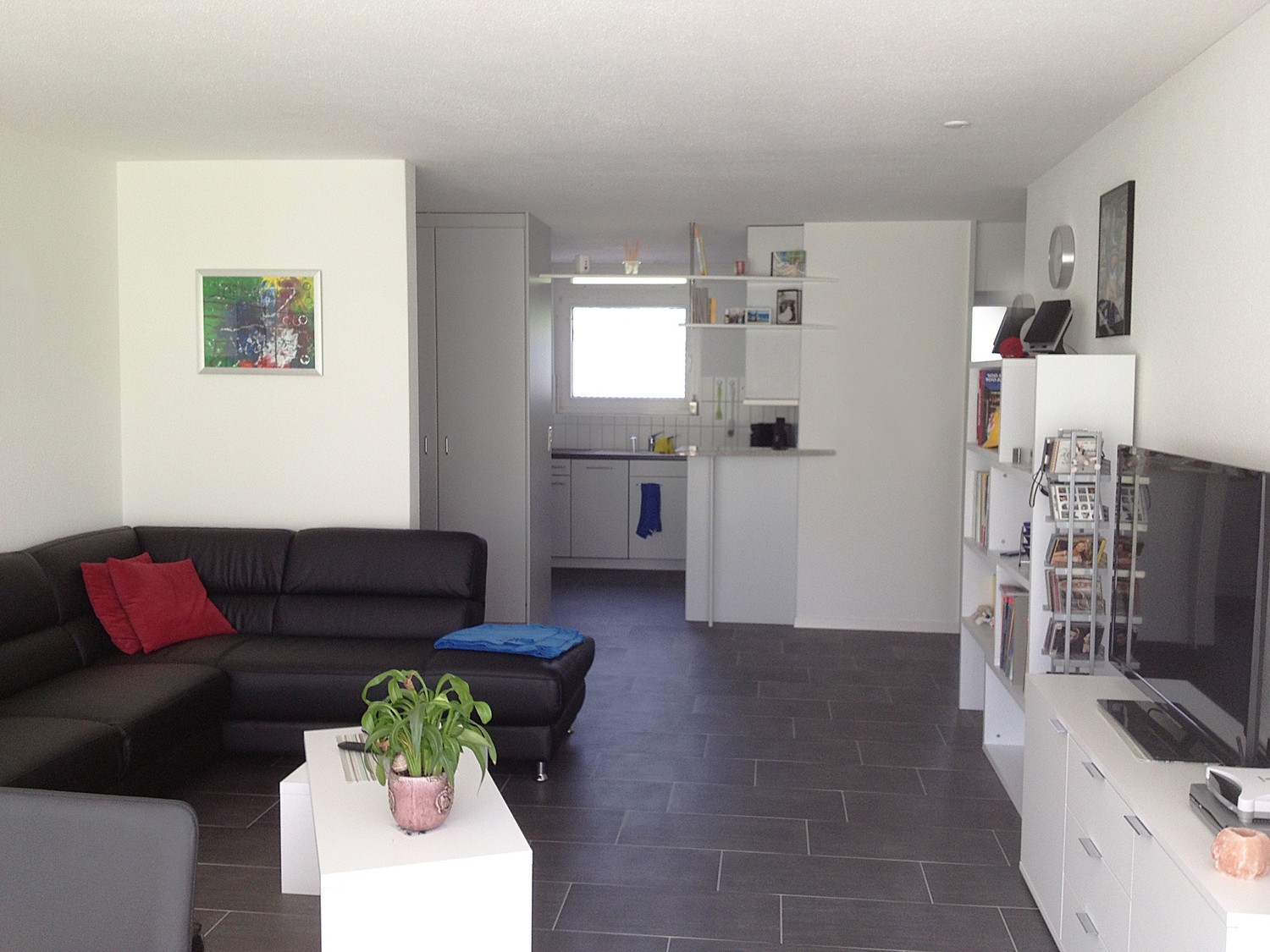 Appartamento di 3 ½ locali