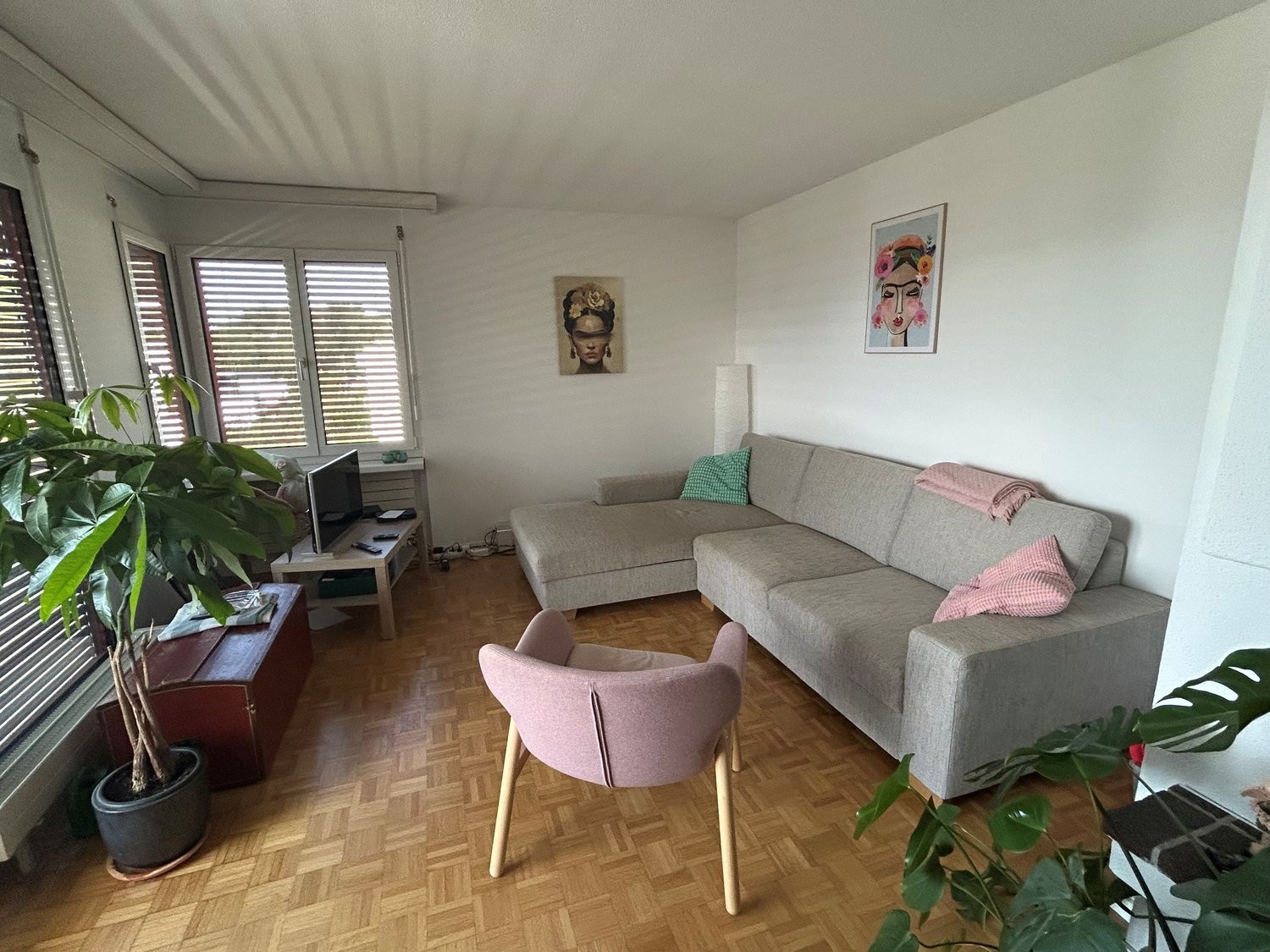 Appartamento di 4 ½ locali