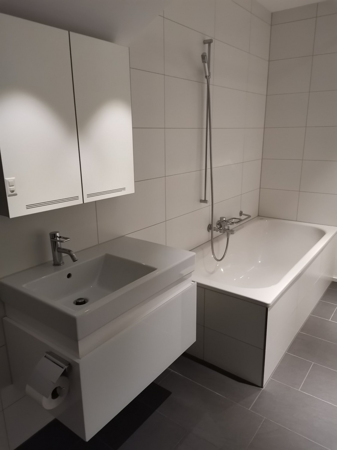 1 ½ stanze loft