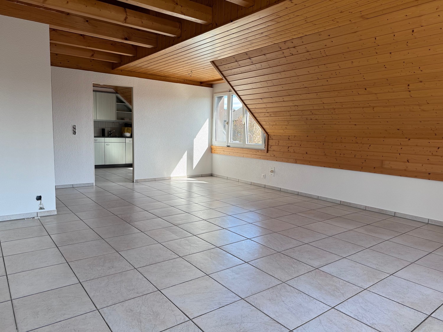 4 ½ Zimmer Wohnung