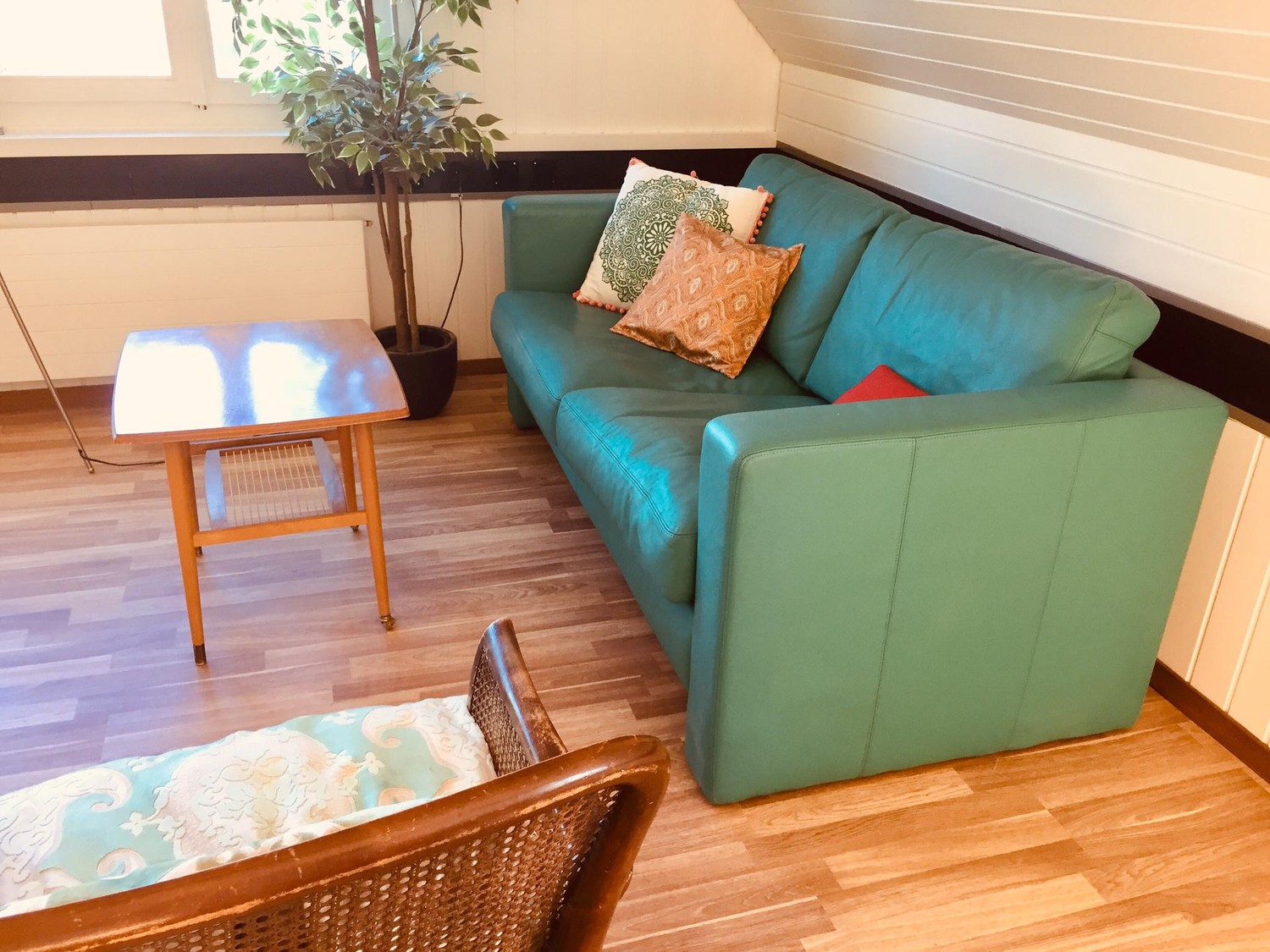 Room in a shared flat