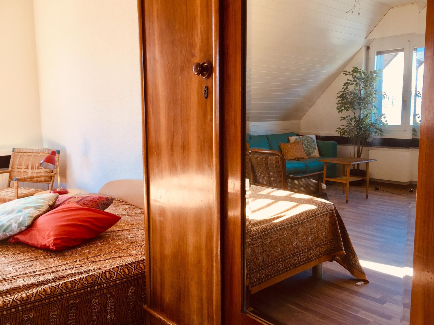 Room in a shared flat