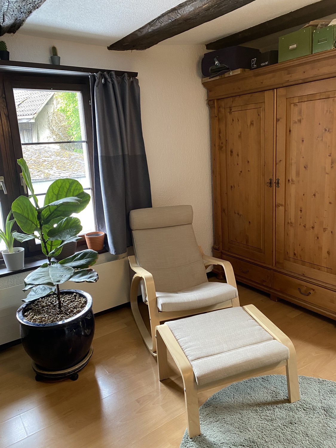 Room in a shared flat