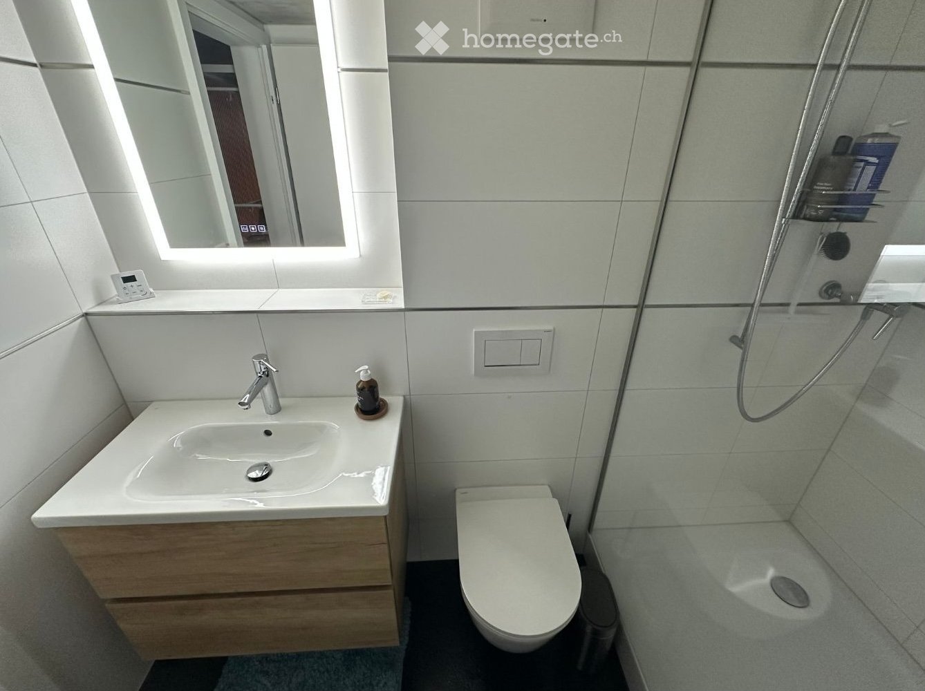1 room apartment