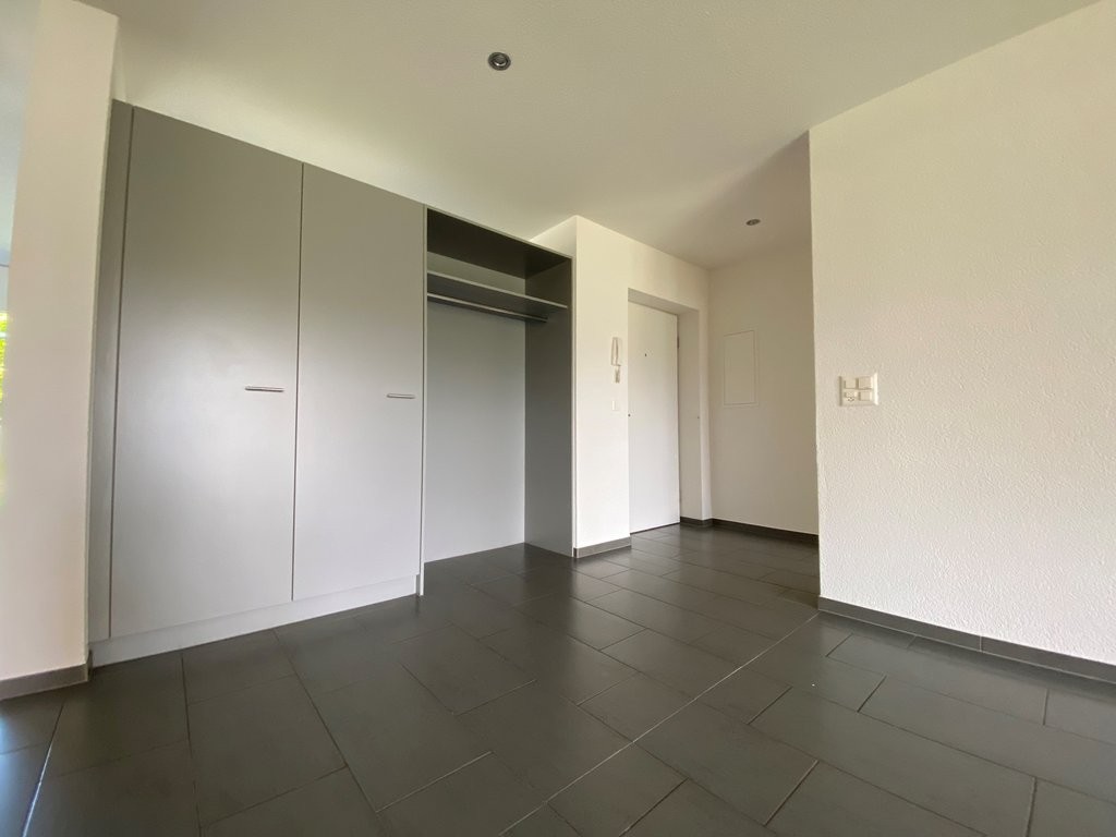 Appartamento di 4 ½ locali