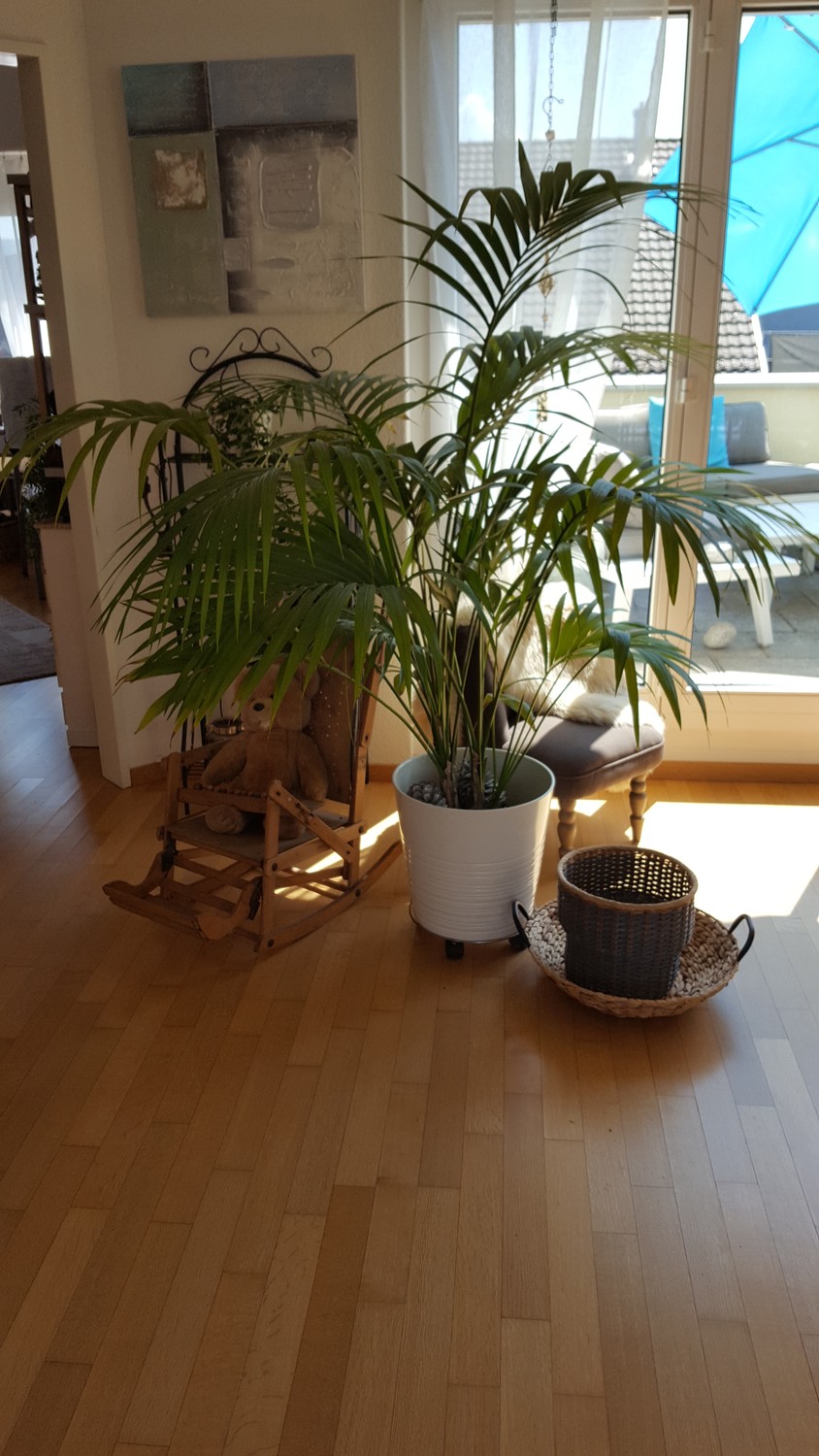 Chambre dans une colocation