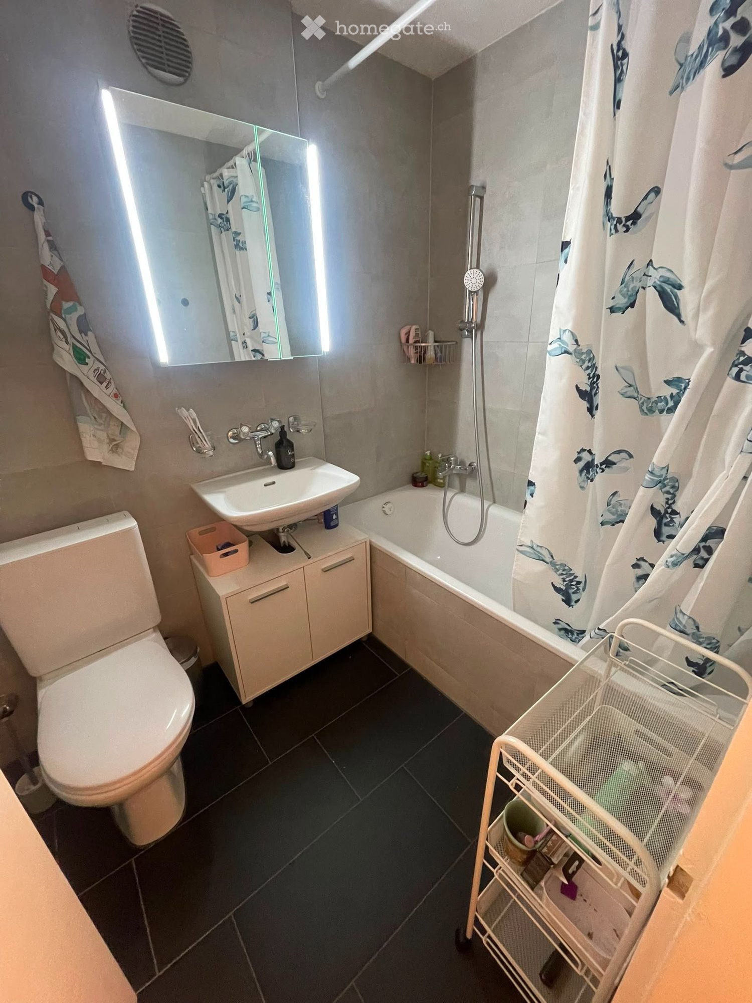 Appartement de 3 ½ pièces