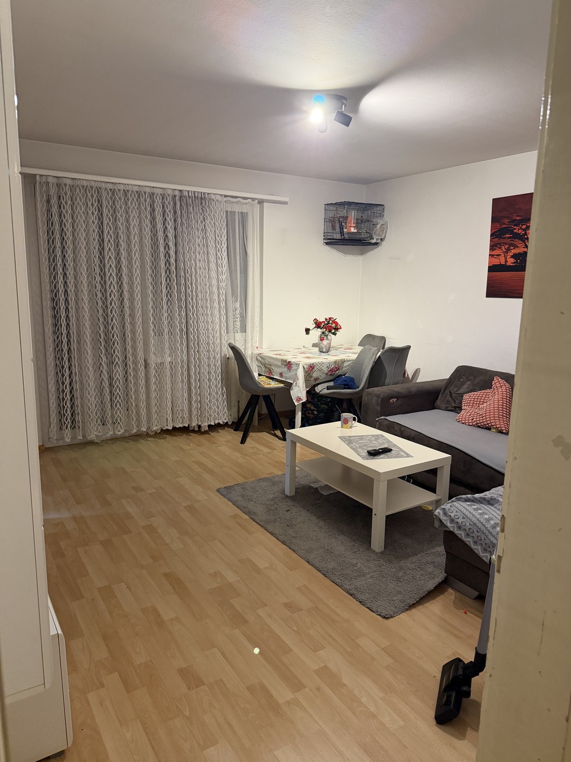 Room in a shared flat