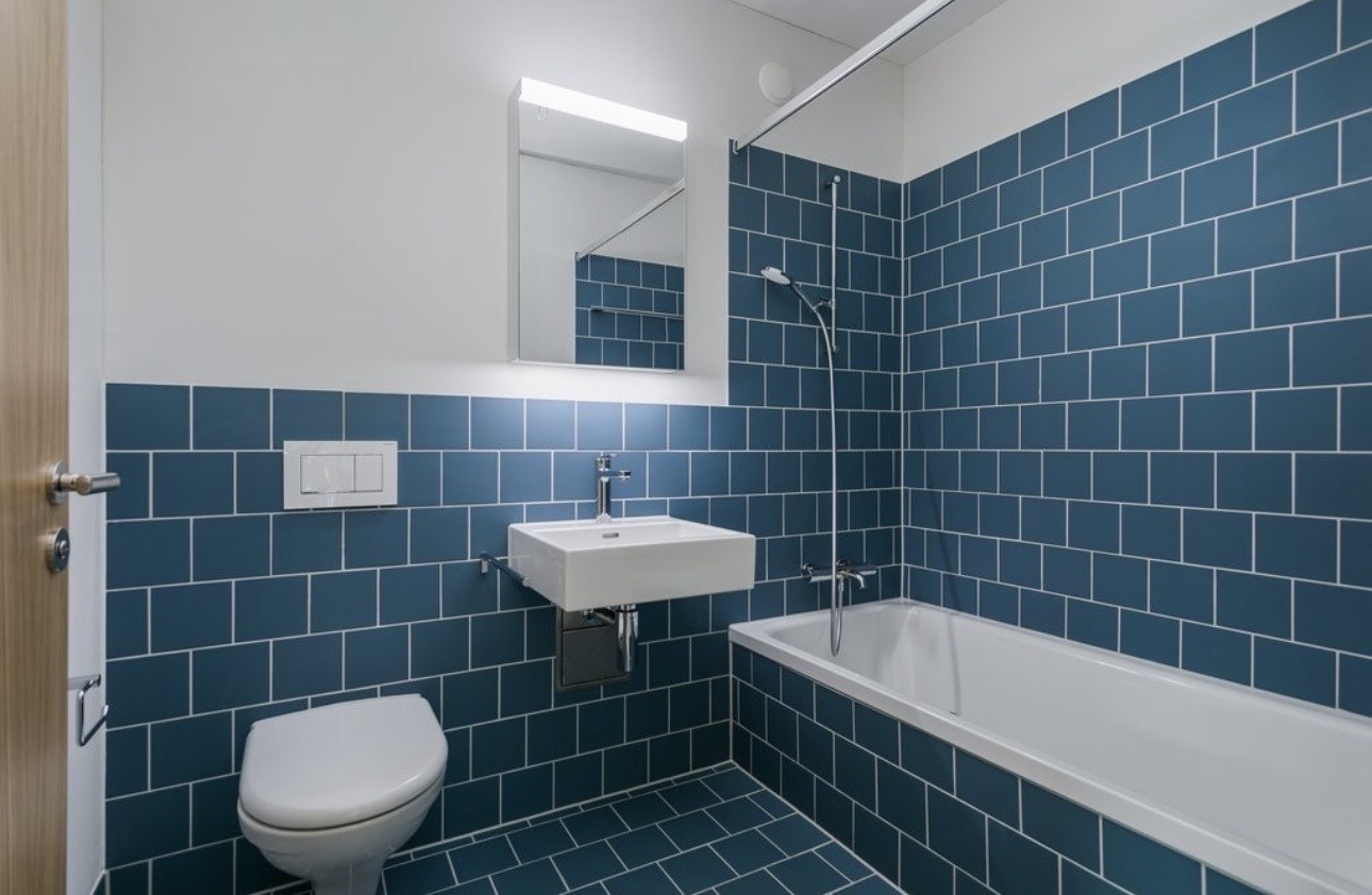 Appartement de 2 ½ pièces