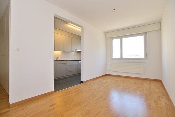 Appartamento di 4 ½ locali