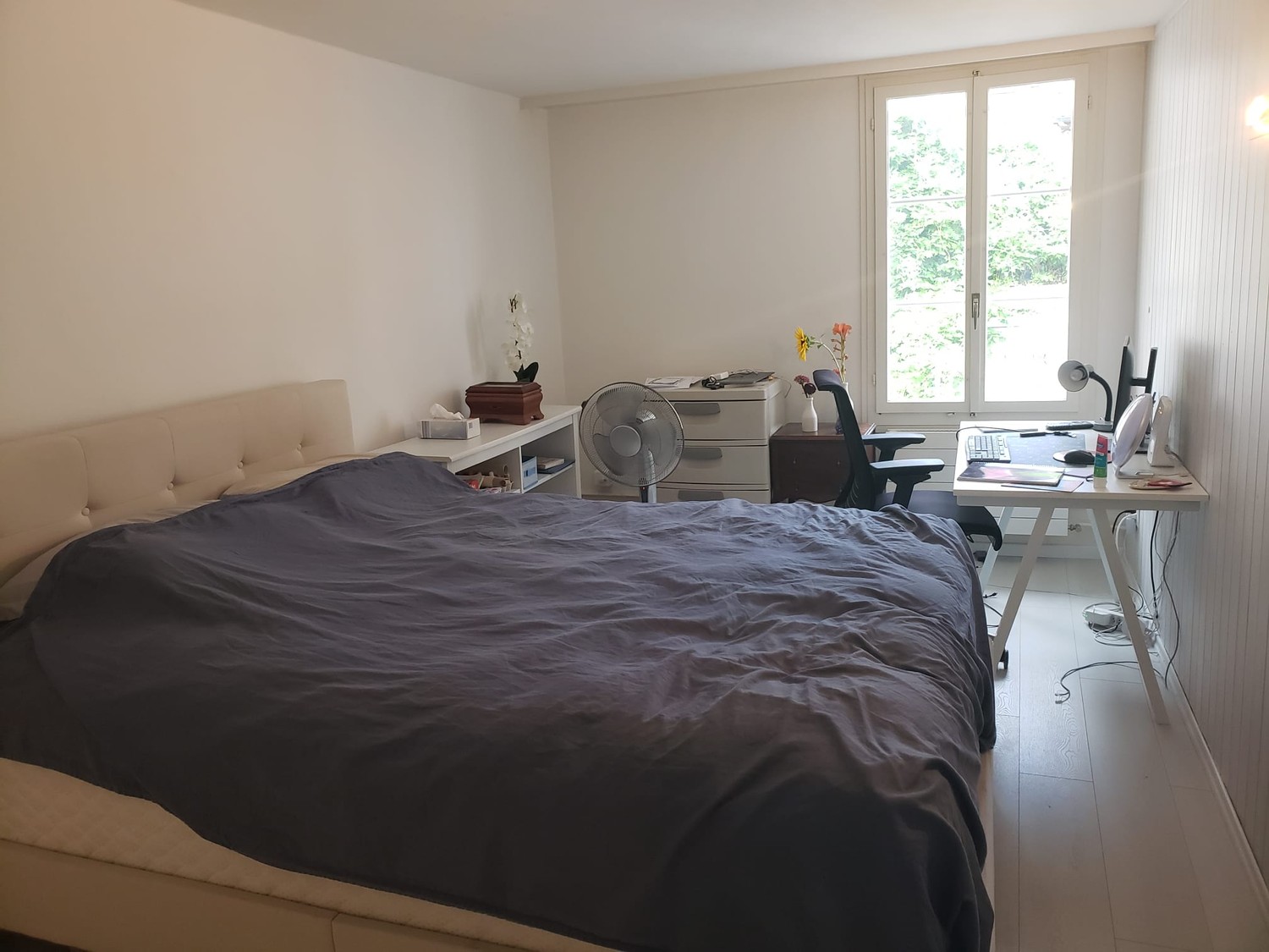 appartamento di 5 locali