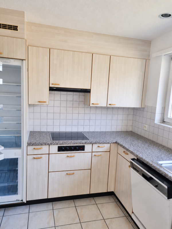 4 ½ rooms apartment