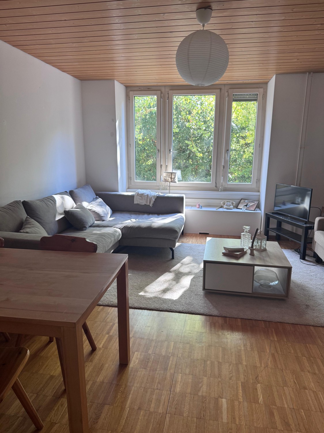 Room in a shared flat