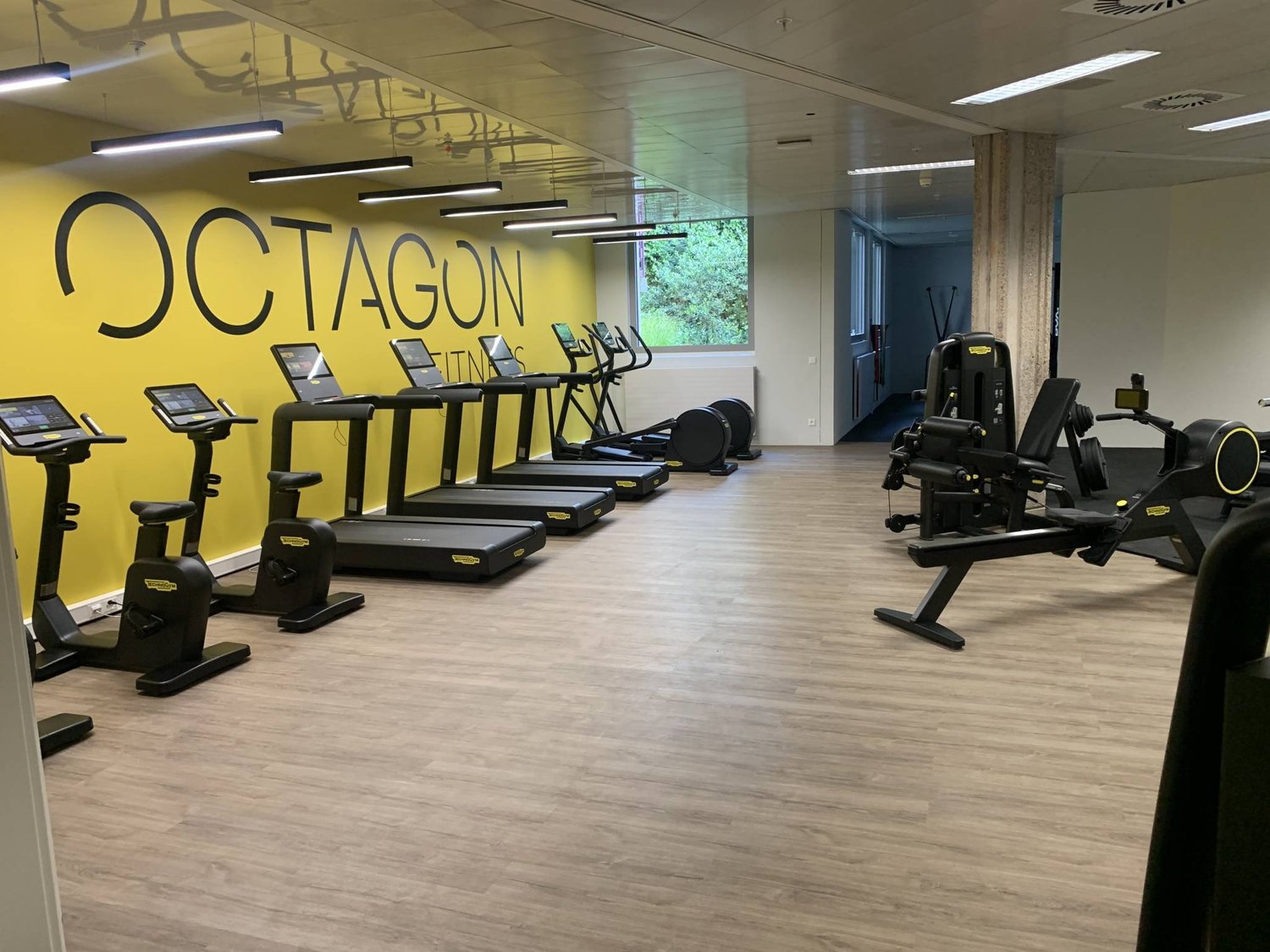 600m² office